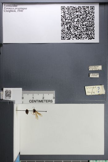 Media type: image; Entomology 677703